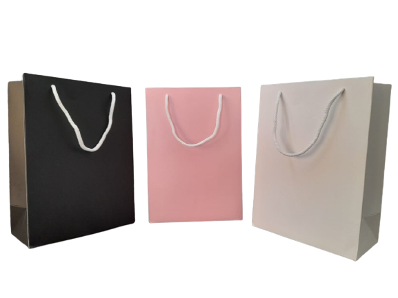 Retail merchandise bag for stylish shopping - Paperzola