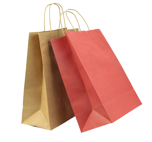 Paperzola: Crafting Sustainable Paper Bags for Every Occasiony